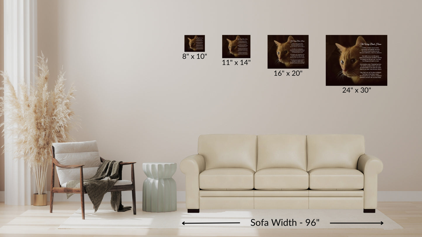 Pet Canvas Print