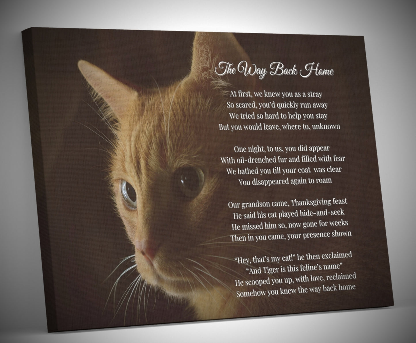 Pet Canvas Print