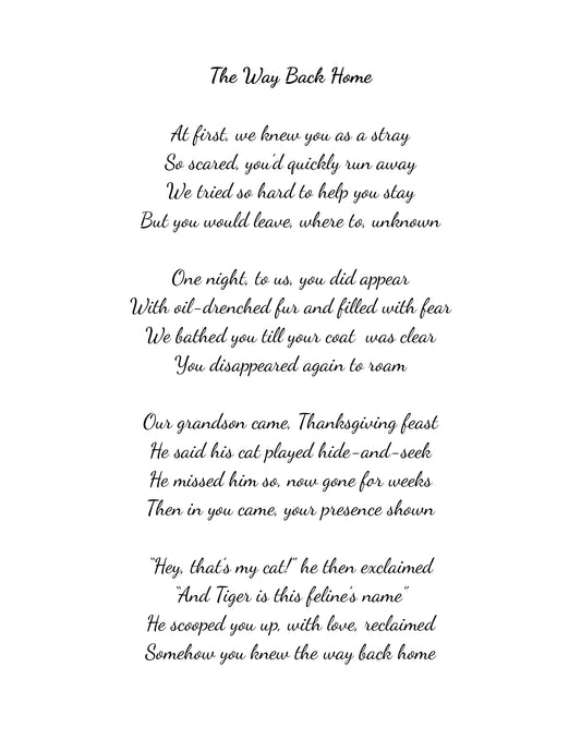 Pet Poem