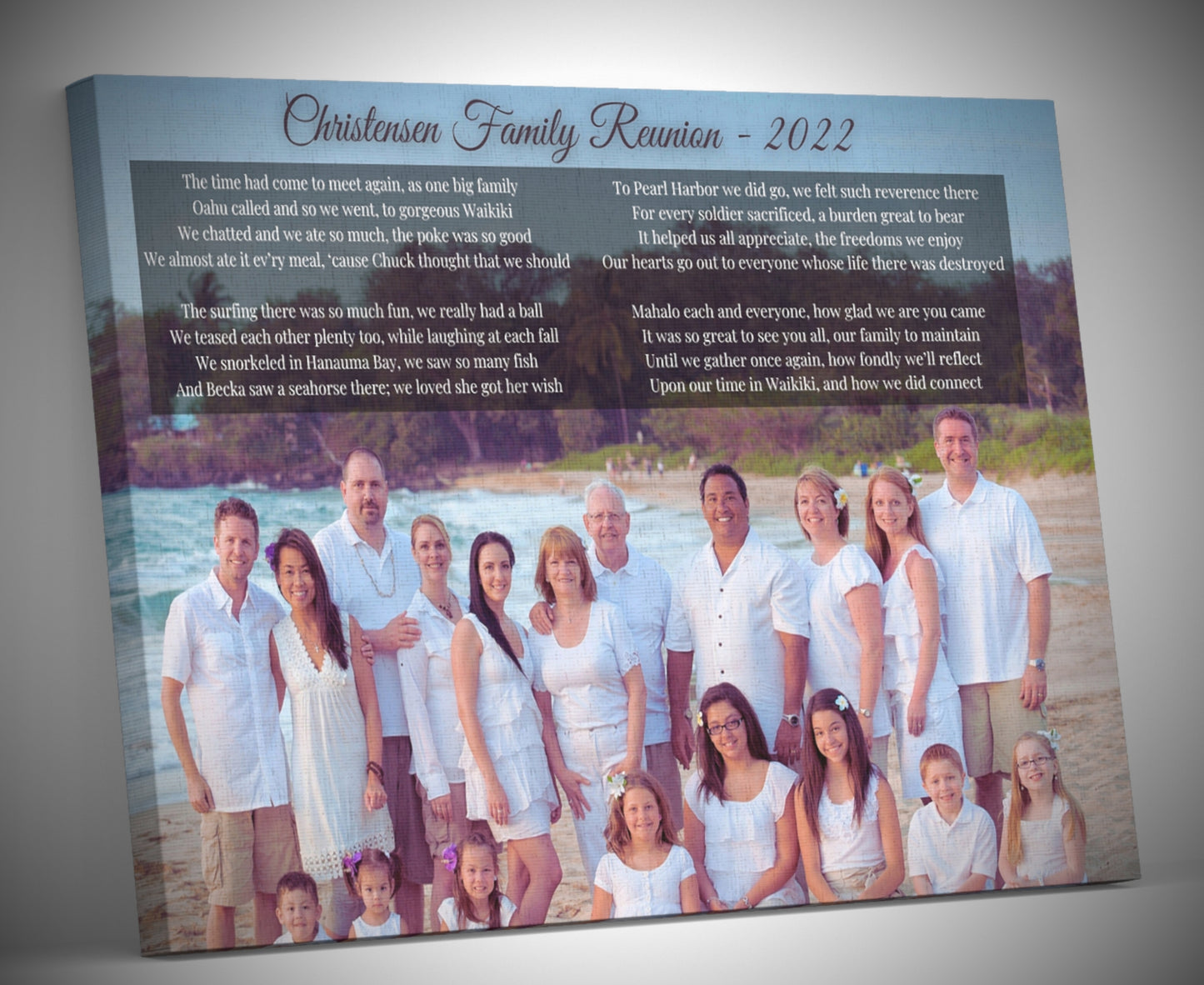 Family Portrait / Reunion Canvas Print